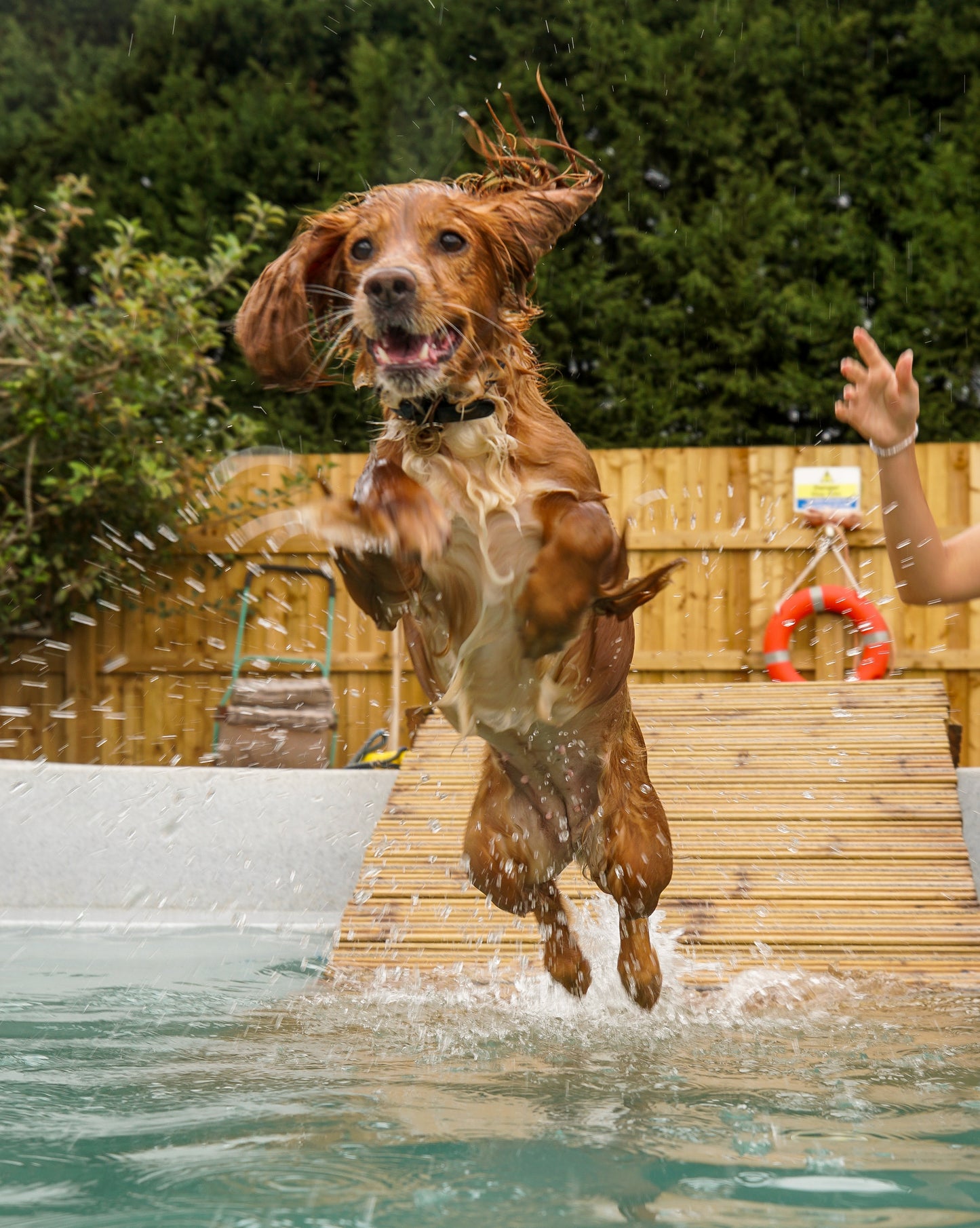 Private Swim Session