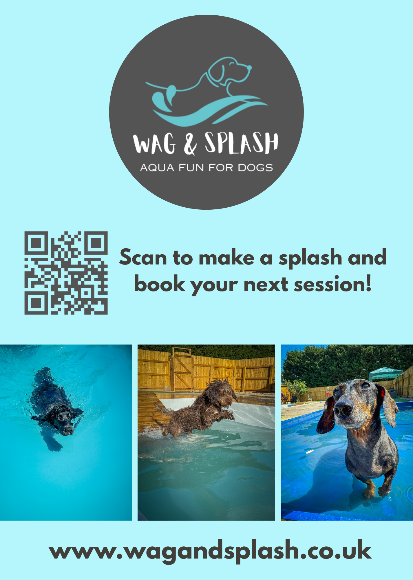 Wag and Splash 2026 Calendar