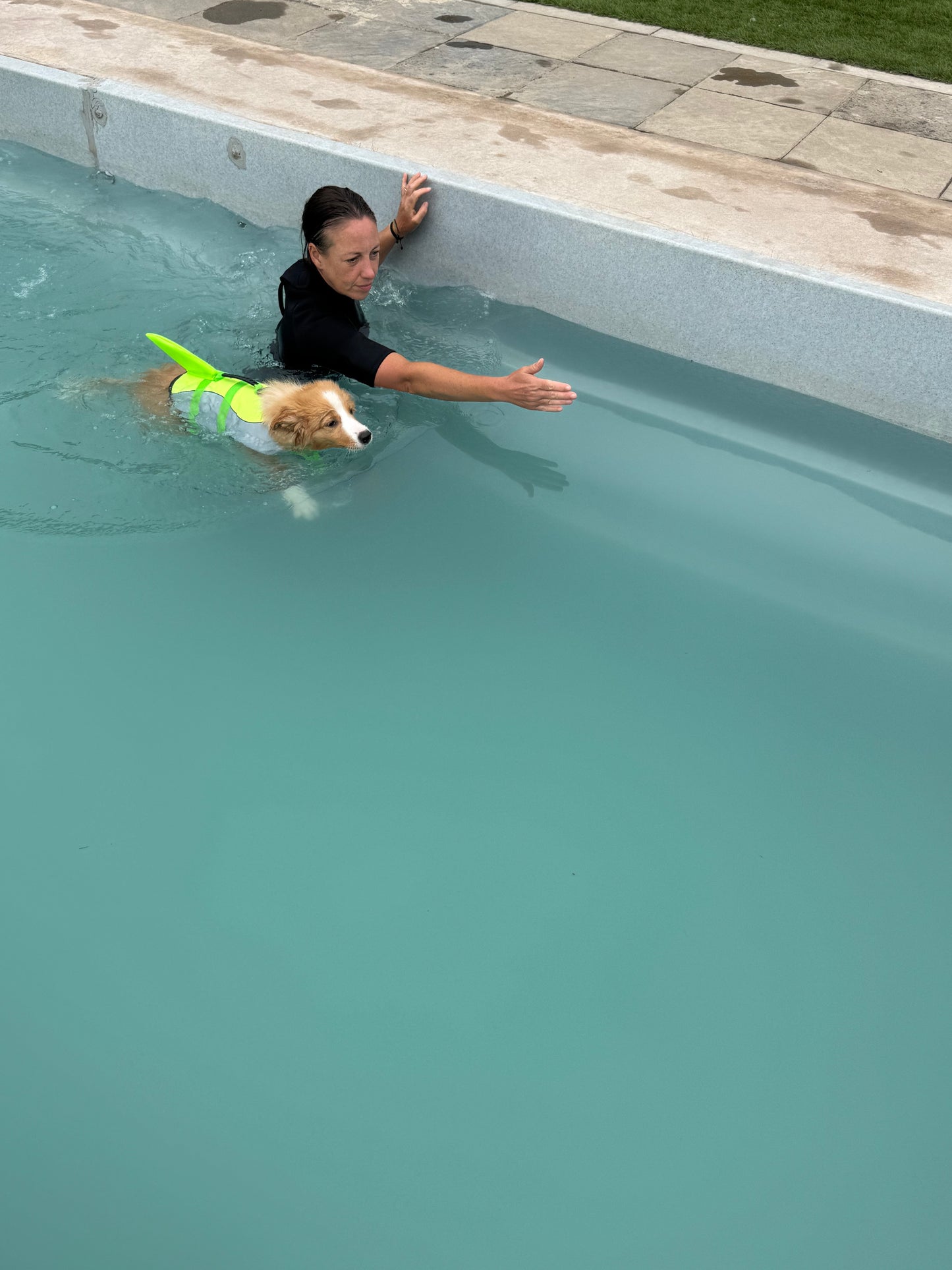 Puppy Swim Sessions