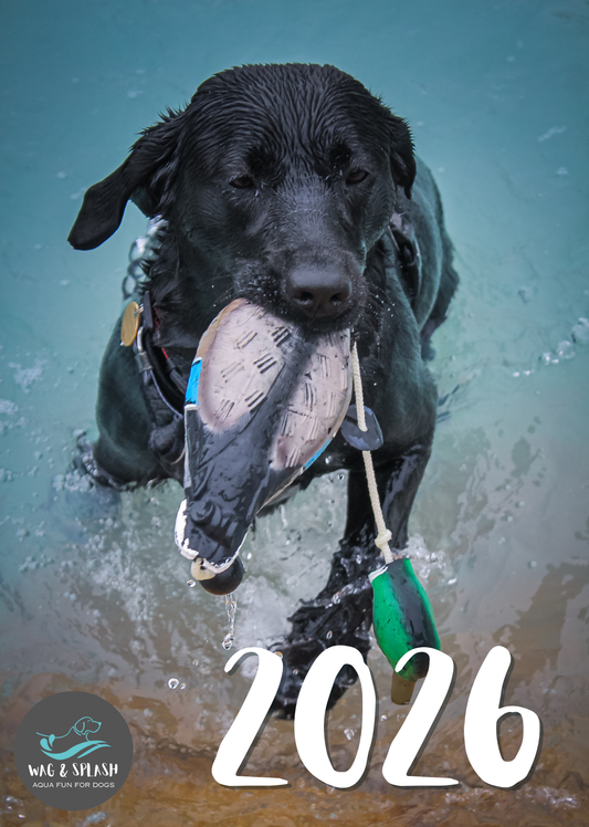 Wag and Splash 2026 Calendar