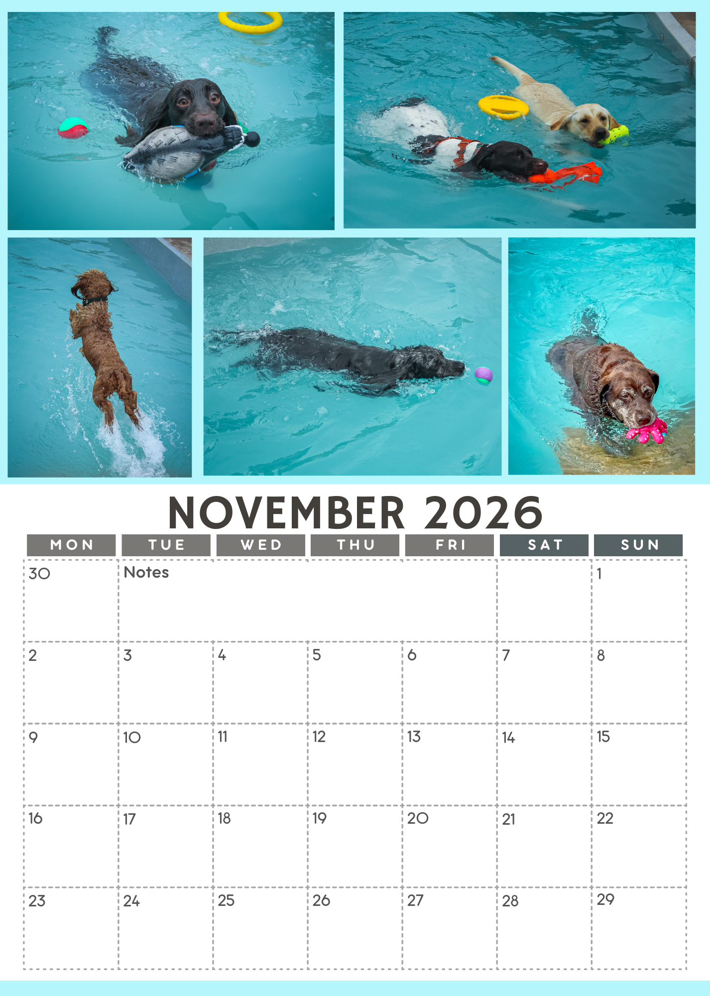 Wag and Splash 2026 Calendar