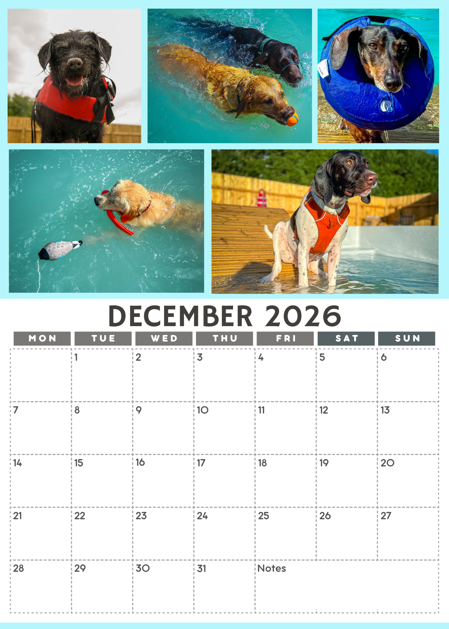 Wag and Splash 2026 Calendar