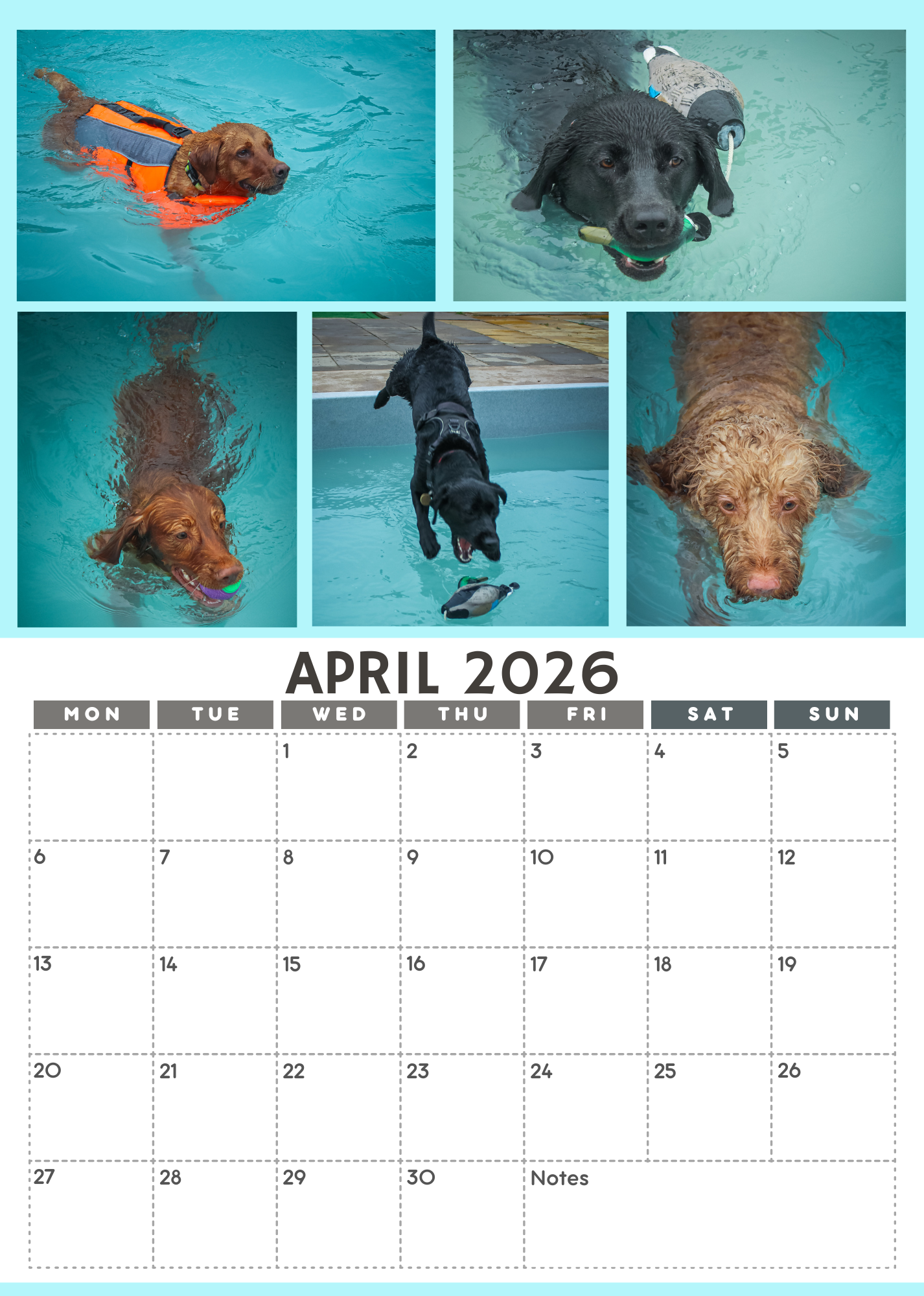 Wag and Splash 2026 Calendar