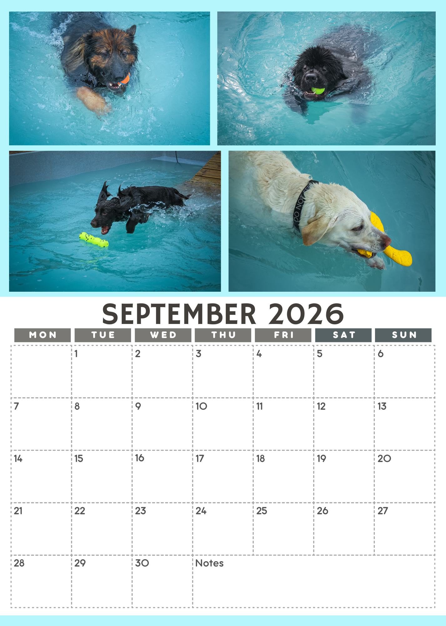 Wag and Splash 2026 Calendar