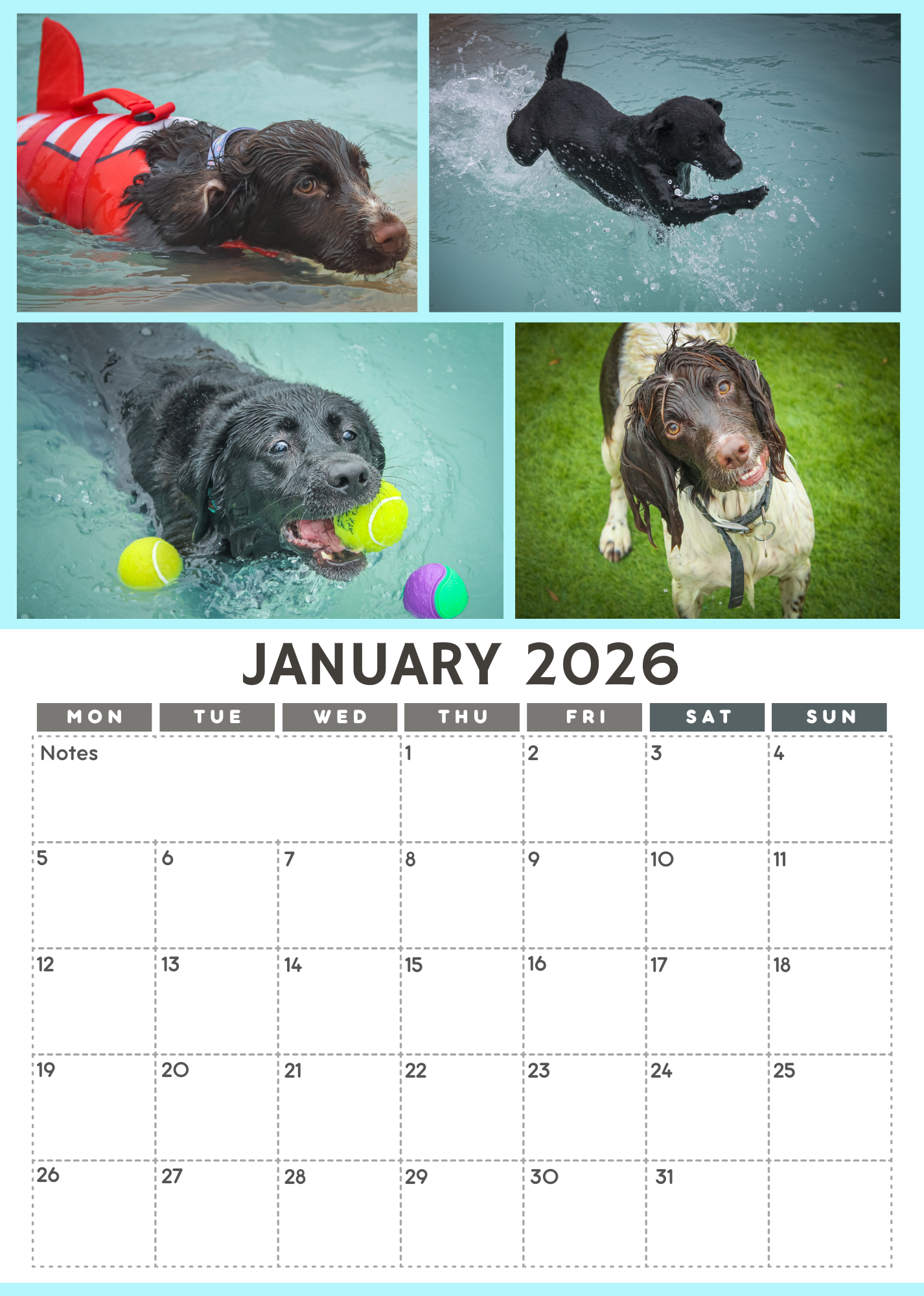 Wag and Splash 2026 Calendar