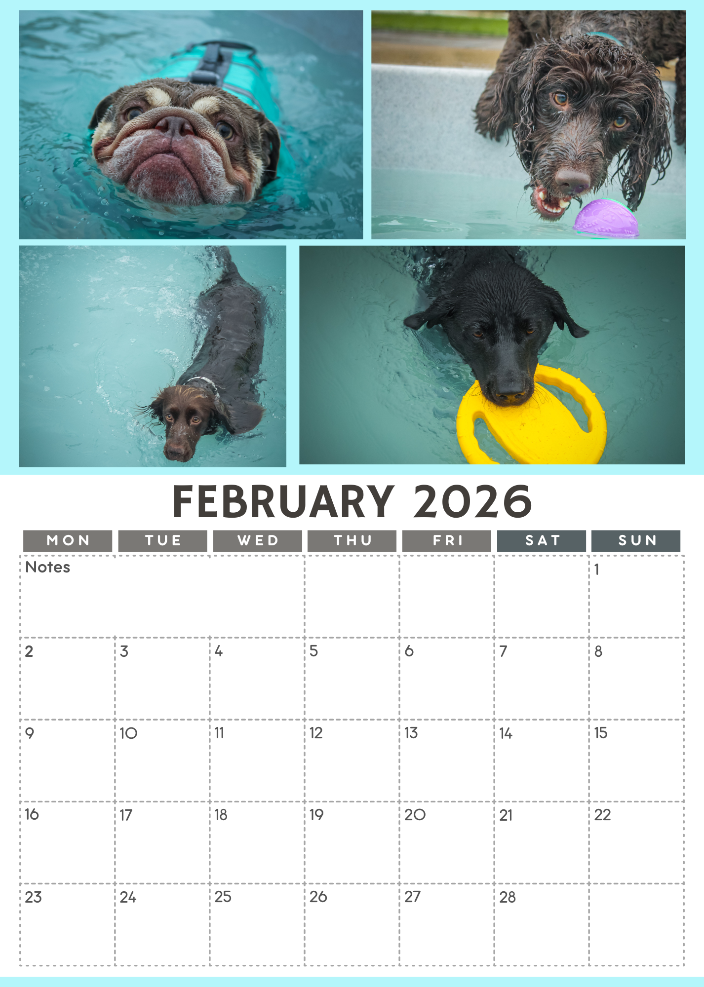 Wag and Splash 2026 Calendar