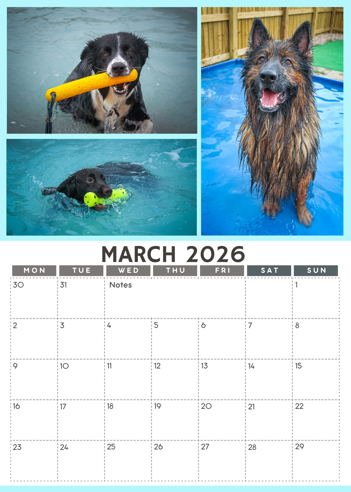 Wag and Splash 2026 Calendar