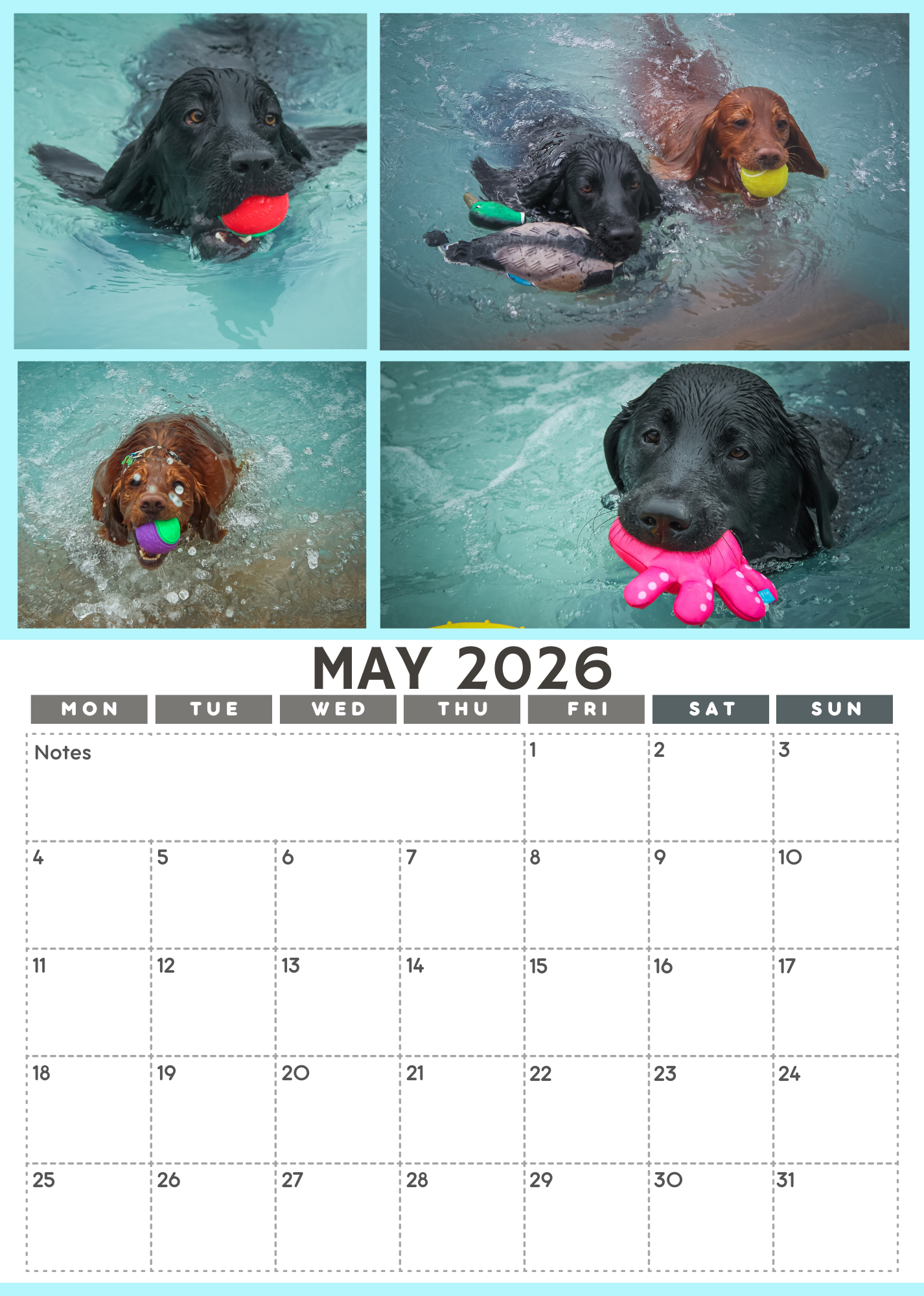Wag and Splash 2026 Calendar