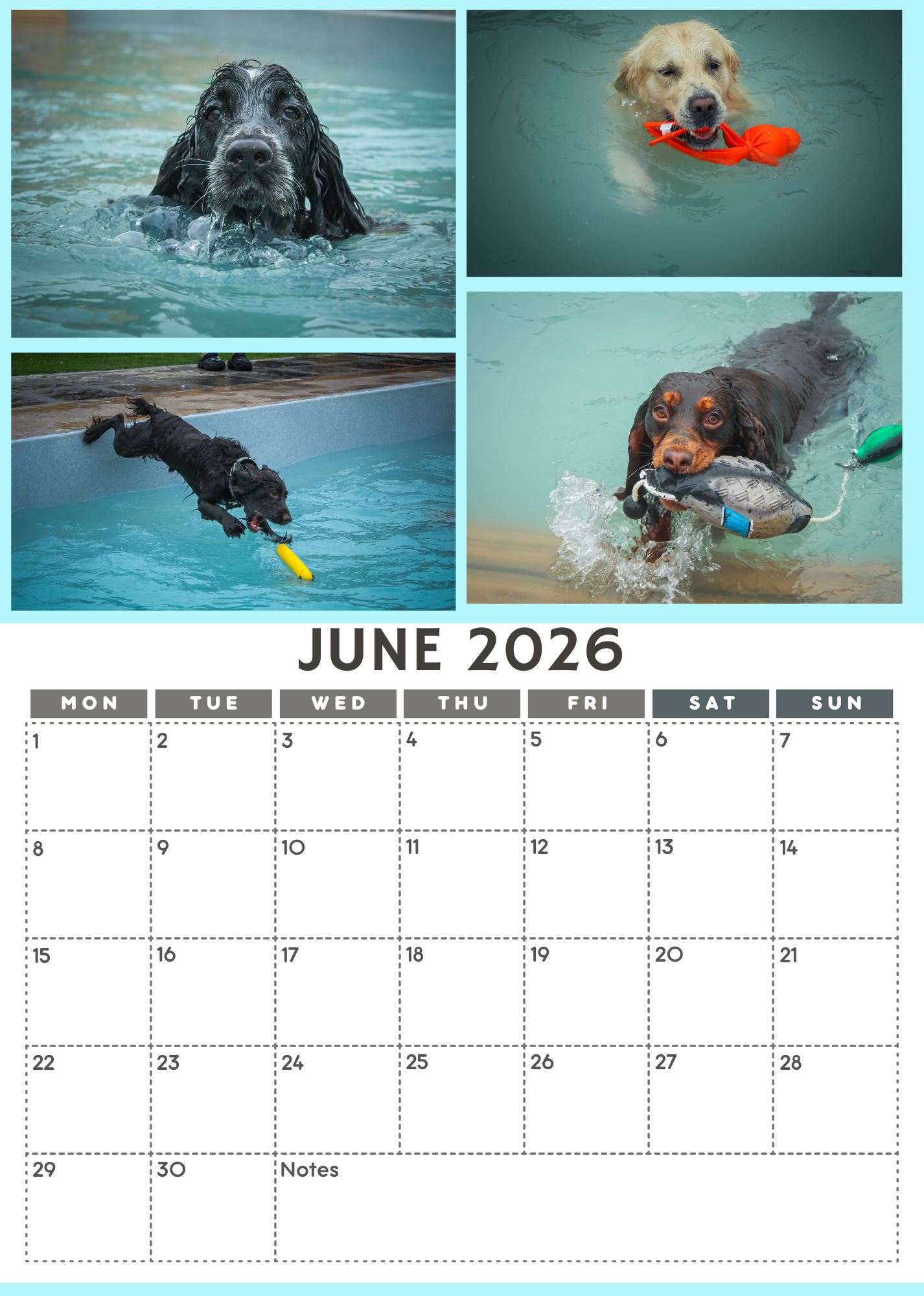 Wag and Splash 2026 Calendar