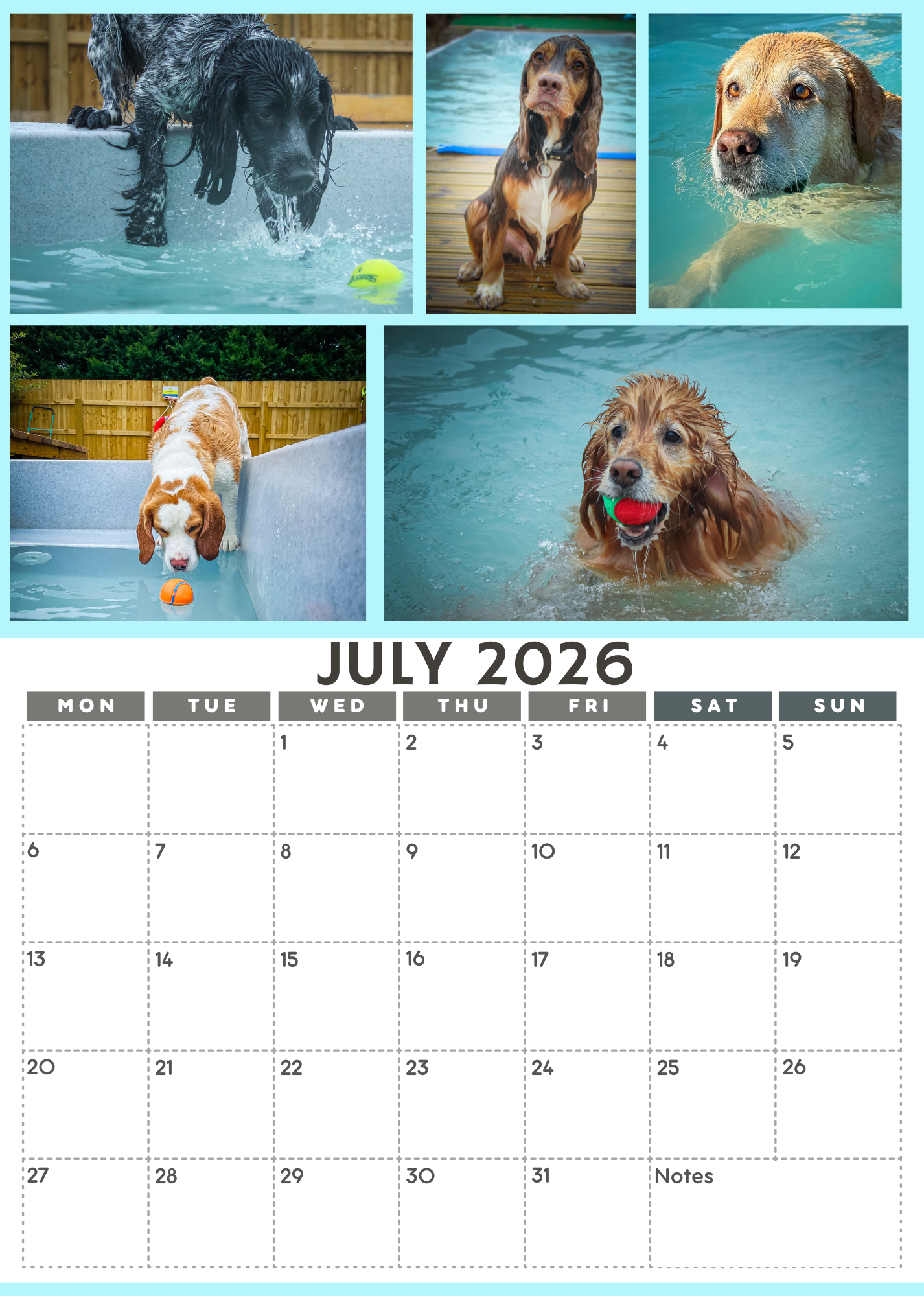 Wag and Splash 2026 Calendar