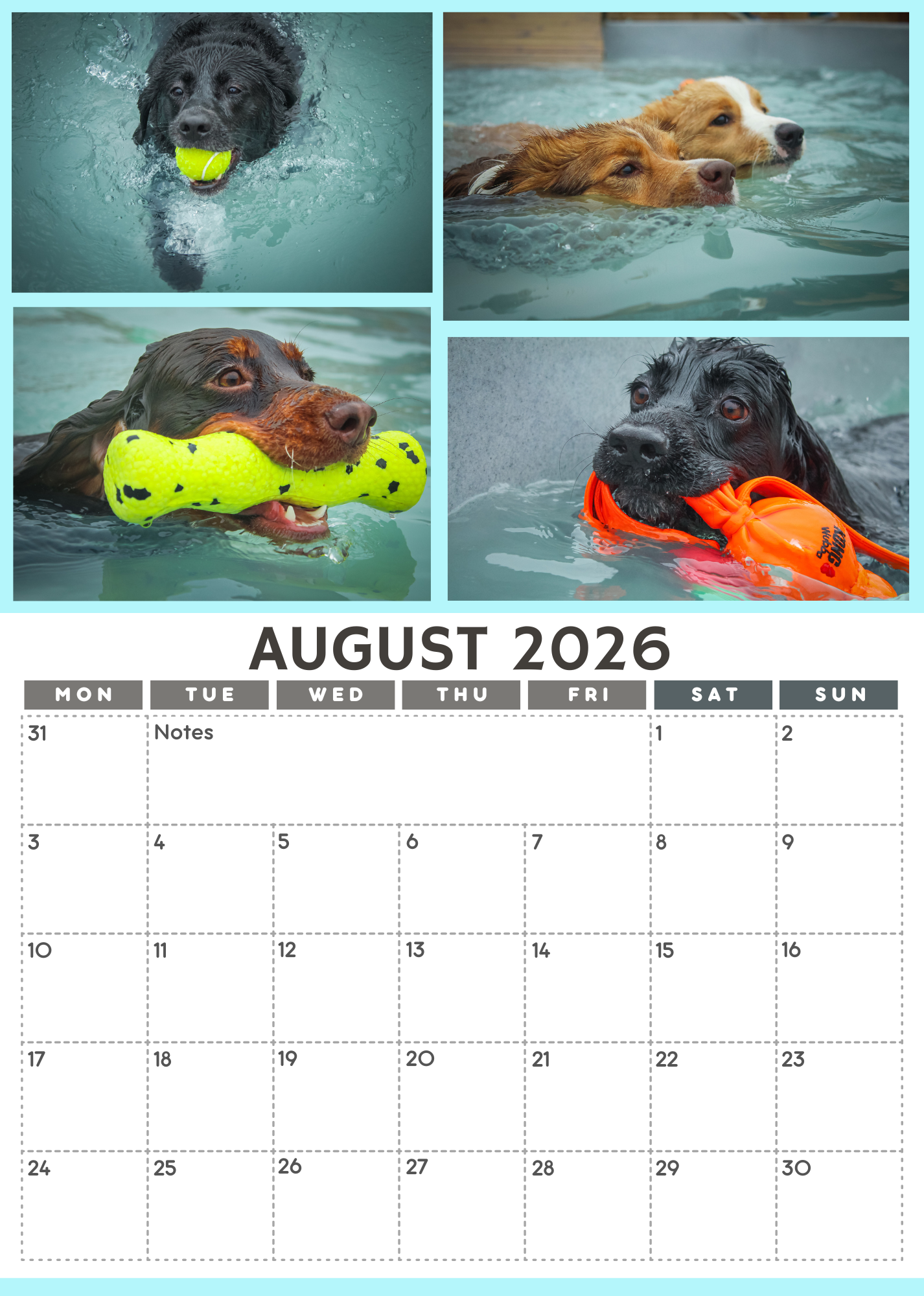 Wag and Splash 2026 Calendar