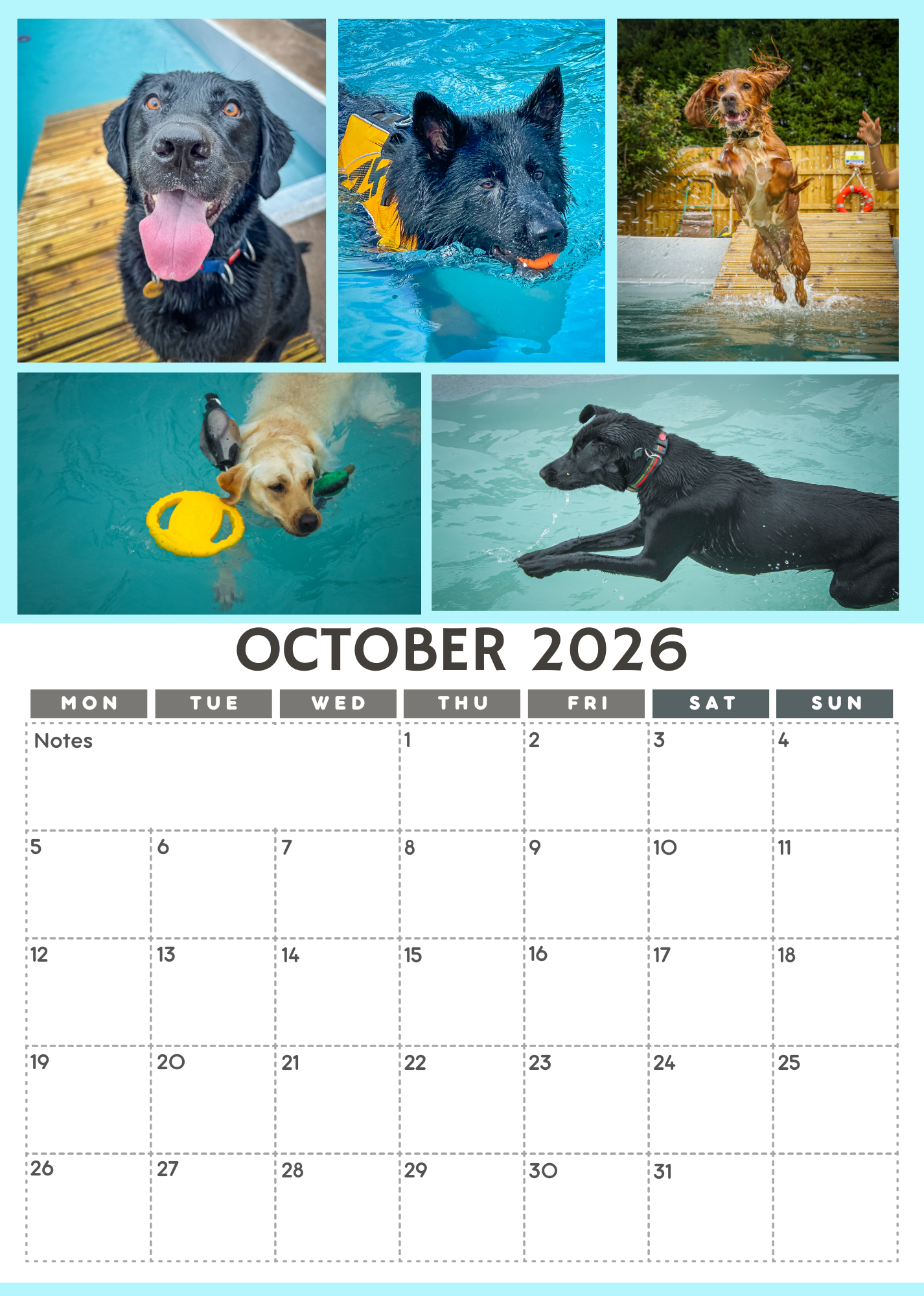 Wag and Splash 2026 Calendar